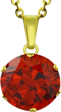 Guldfärgat Smycke med Röd Rund Sten