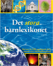 Det Stora Barnlexik T Toys Kids Books Educational Books Multi/mønstret GLOBE*Betinget Tilbud