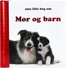 Min Lille Bog Om Mor Og Barn Toys Kids Books Baby Books Multi/patterned GLOBE