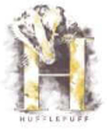 Harry Potter Hufflepuff Unisex T-Shirt - White - XXL
