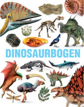 Dinosaurbogen Toys Kids Books Educational Books Multi/mønstret GLOBE*Betinget Tilbud