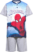 Pyjashort In Box Pyjamas Sett Grå Spider-man*Betinget Tilbud