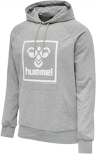 Hummel Hmllsam Hoodie Gray Size L