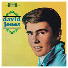 Jones Davy: David Jones (import)