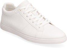 "Finespec Low-top Sneakers White ALDO"
