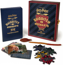 Harry Potter Quidditch at Hogwarts