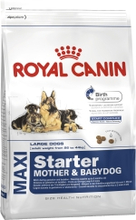 Hundfoder Royal Canin Maxi Starter 15kg