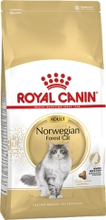 Kattmat Royal Canin Adult Norweigian Forest Cat 10kg