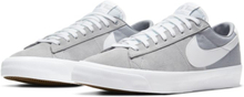 Nike SB Zoom Blazer Low Pro GT Skate Shoe - Grey