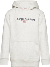 Sport Oth Bb Hoodie Tops Sweatshirts & Hoodies Hoodies Grey U.S. Polo Assn.
