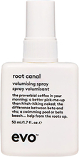 Evo Root Canal Volumising Spray 50 ml