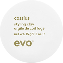 Evo Cassius Styling Clay 15 g