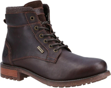 Cotswold Birdwood Leather Ankle Boots för män