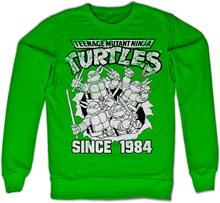 TMNT Distressed Since 1984 Sweatshirt, Sweatshirt