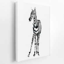 Premium Canvastavla - Little zebra (Djur)