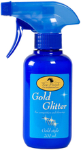 Top Finish Gold Glitter Spray - 200ml