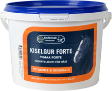 Eclipse Biofarmab Kiselgur Forte – 0,5 kg