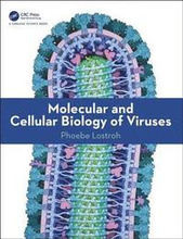 Molecular and Cellular Biology of Viruses