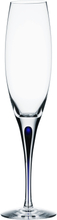 Orrefors - Intermezzo champagneglass 26 cl blå