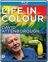 Life in Colour with David Attenborough