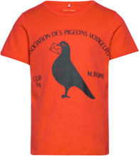 Pigeons Sp Ss Tee Tops T-shirts Short-sleeved Orange Mini Rodini