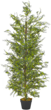 vidaXL Kunstig sypressplante med potte grønn 150 cm