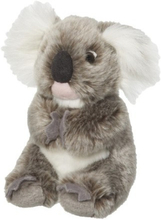 Pluche koala knuffels 18 cm