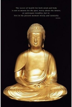 Deurposter boeddha goud 61x91cm