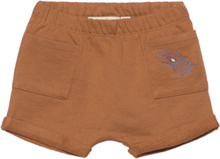 Sgflair Emb Bugs Shorts Bottoms Shorts Brown Soft Gallery