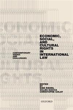 Economic, Social, and Cultural Rights in International Law