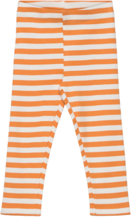 Sgissey Yd Striped Leggings Acorn Bottoms Leggings Orange Soft Gallery