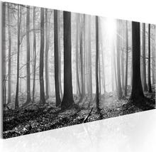 Canvas Tavla - Black and White Forest - 120x40