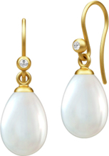 Afrodite Earring - Gold Örhänge Smycken Gold Julie Sandlau