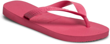 Hav Top Shoes Summer Shoes Sandals Rosa Havaianas*Betinget Tilbud