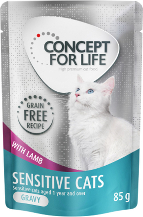 Zum Sonderpreis! Concept for Life getreidefrei 12 x 85 g - Sensitive Cats Lamm - in Sosse
