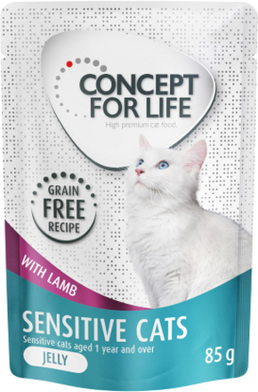 Sparpaket Concept for Life getreidefrei 24 x 85 g - Sensitive Cats Lamm - in Gelee