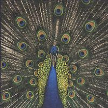 Bluetones: Expecting To Fly