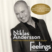 Andersson Niklas: Feelings 2011