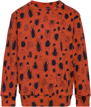 Sgbaptiste Bugs Sweatshirt Tops Sweatshirts & Hoodies Sweatshirts Orange Soft Gallery