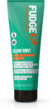 Fudge Cleant Mint Purifying Shampoo 250 ml