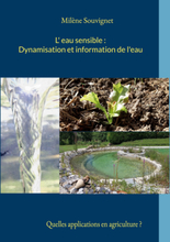 L'eau sensible : Dynamisation et information de l'eau