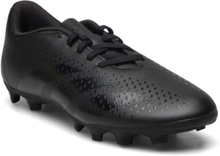 Predator Accuracy.4 Fxg Shoes Sport Shoes Football Boots Svart Adidas Performance*Betinget Tilbud