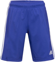 U 3S Wn Short Sport Shorts Sport Shorts Blue Adidas Sportswear
