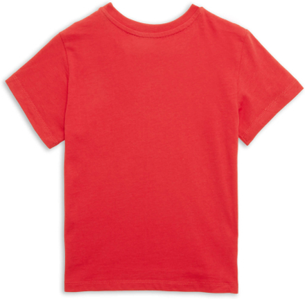 Fantastic Beasts Phoenix Kids' T-Shirt - Red - 9-10 Years