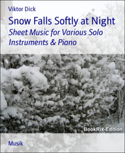 Snow Falls Softly at Night