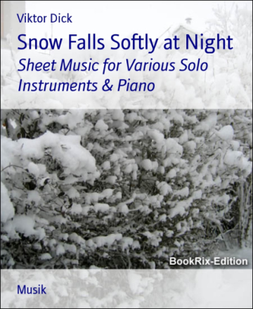 Snow Falls Softly at Night