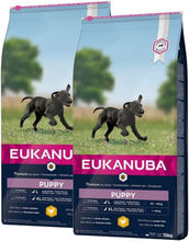 Eukanuba Dog Puppy Large 2 x 15kg