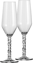 Orrefors - Carat champagneglass 24 cl 2 stk