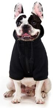 Warm Pet Coat Dog Fleece Hoodie Jacket with Zipper