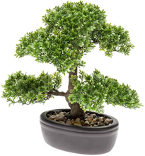 Emerald Kunstig fiken mini bonsai grønn 32 cm 420002